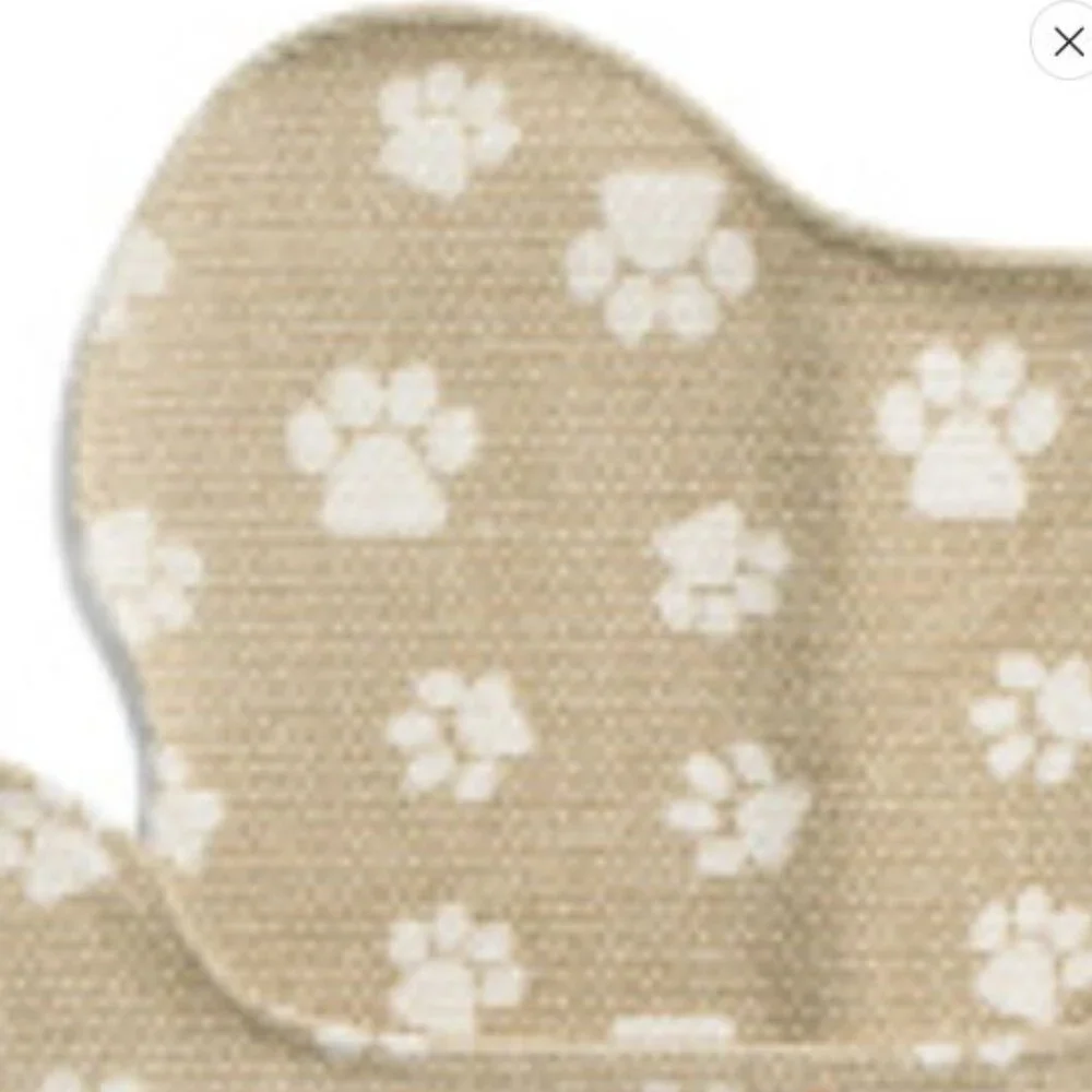 NWOT Set Of 2 Spanky Paws Bone Shaped Pet Placemats